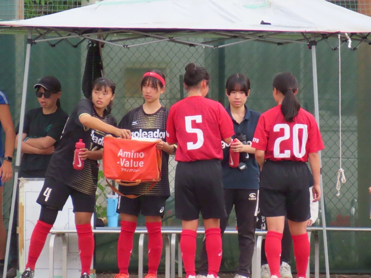 すぎそう (10).JPG